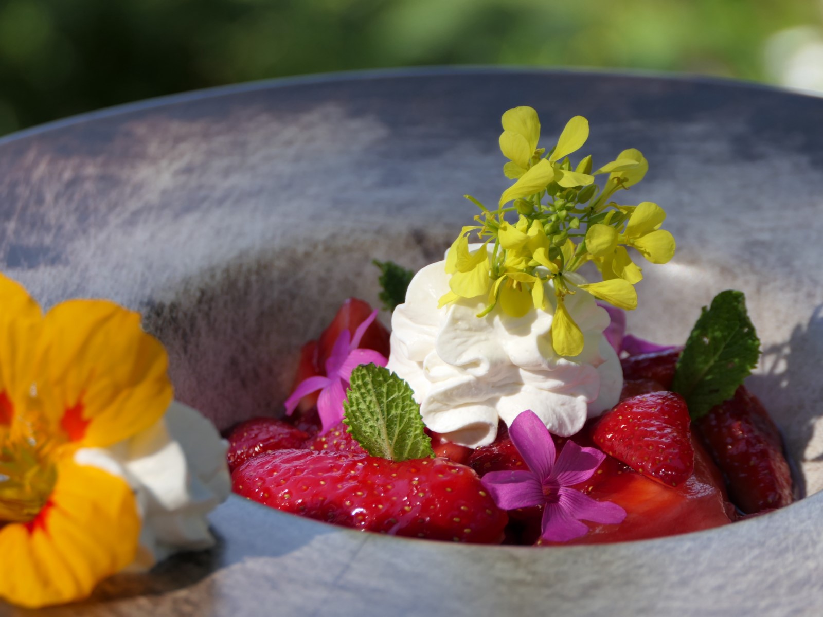 Recette du Café des Jardiniers : Fraises au vin rouge, chantilly au romarin, fleurs de saison