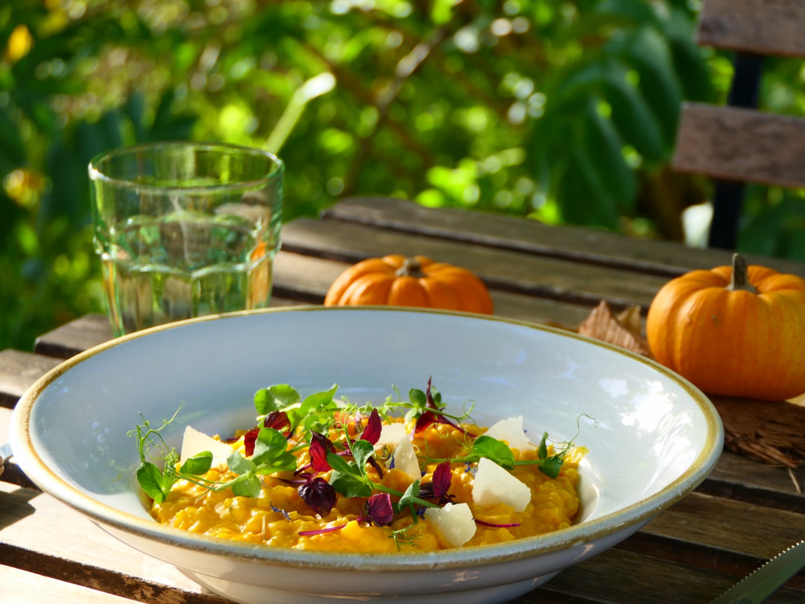 Recette du Café des Jardiniers : Risotto au potimarron et pétales de parmesan